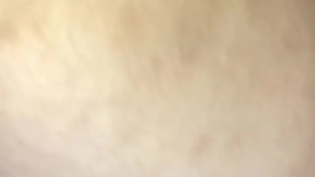 Slutwife mocks husband′s lack of skill &mdash;  demands a rough doggy fuck from a big dick🍆