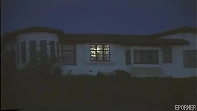 70565 Golden Era of Porn Helga Sven 1